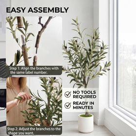 Huhemy no-maintenance olive tree stays vibrant with minimal care