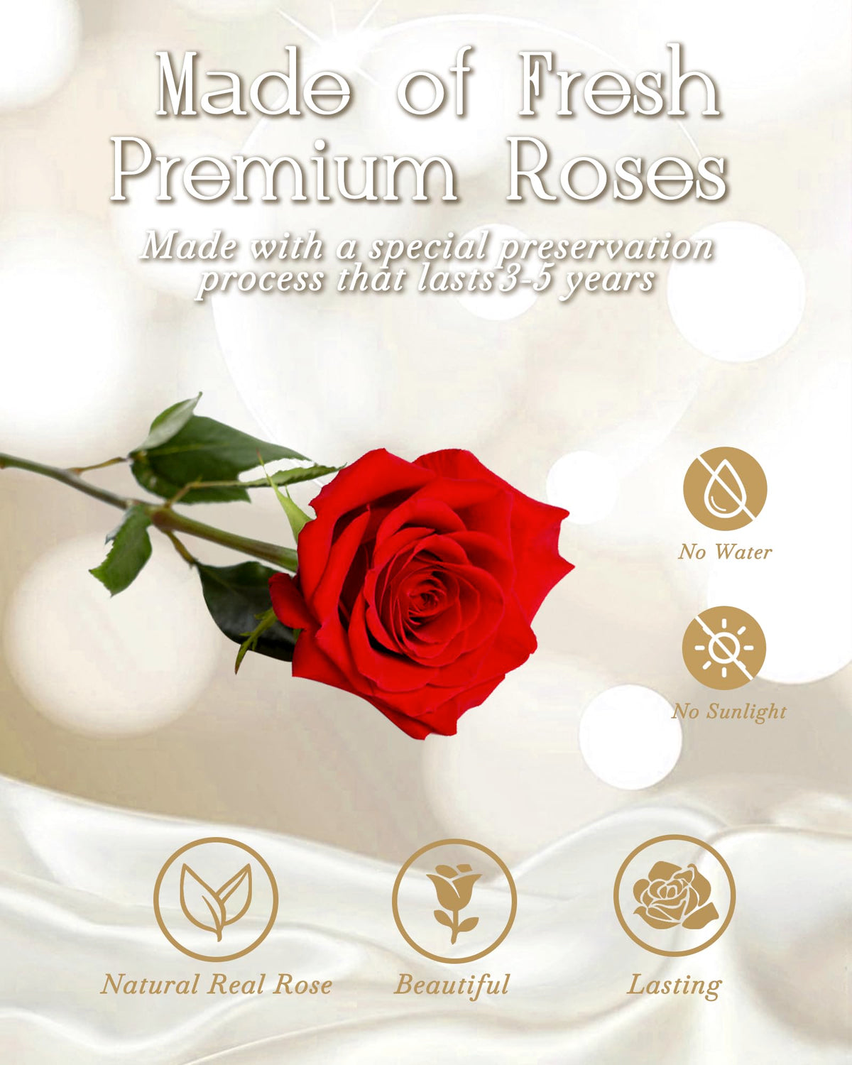 HVY LED-lit rose bouquet brightens any space day or night.