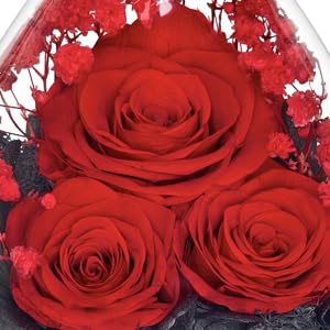 HXYALWAOHK prime packaging-ready gift for women, no extra wrapping needed