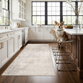 HY HAO YUN LAI soft low-pile rug ideal under furniture and across doorways in living spaces.