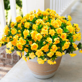 HyeFlora artificial camellia outdoor decor with UV resistance for lasting porch color