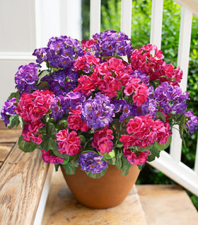 HyeFlora artificial geranium front door arch for welcoming outdoor decor.