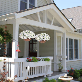 HyeFlora bougainvillea branches add vibrant color to outdoor walls and porches