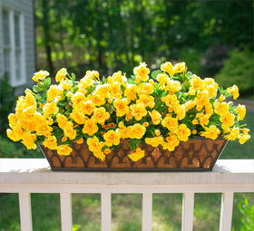 HyeFlora faux camellia branches ideal for planters and balconies