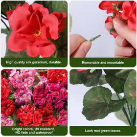 HyeFlora geraniums in planters provide year‑round appeal without watering.