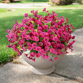 HyeFlora eucalyptus leaves accent artificial flowers for natural greenery.