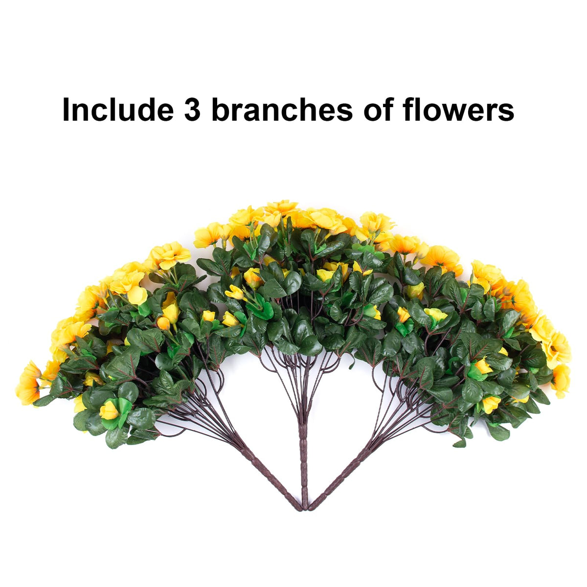 HyeFlora outdoor camellias designed for front doors and porches