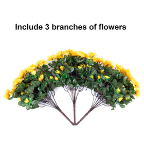 HyeFlora outdoor camellias designed for front doors and porches