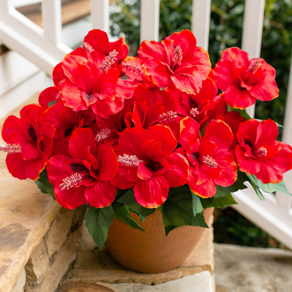 HyeFlora outdoor hibiscus flowers four-bundle set for easy planter accents