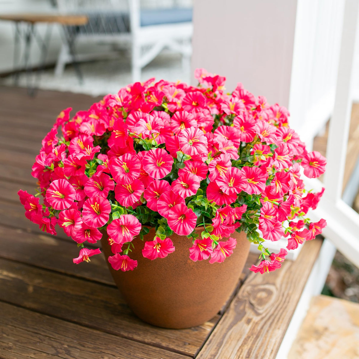 HyeFlora 12-bundle set brings consistent brightness to any outside space
