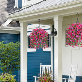 HyeFlora quick 5-minute assembly delivers instant garden-ready beauty.