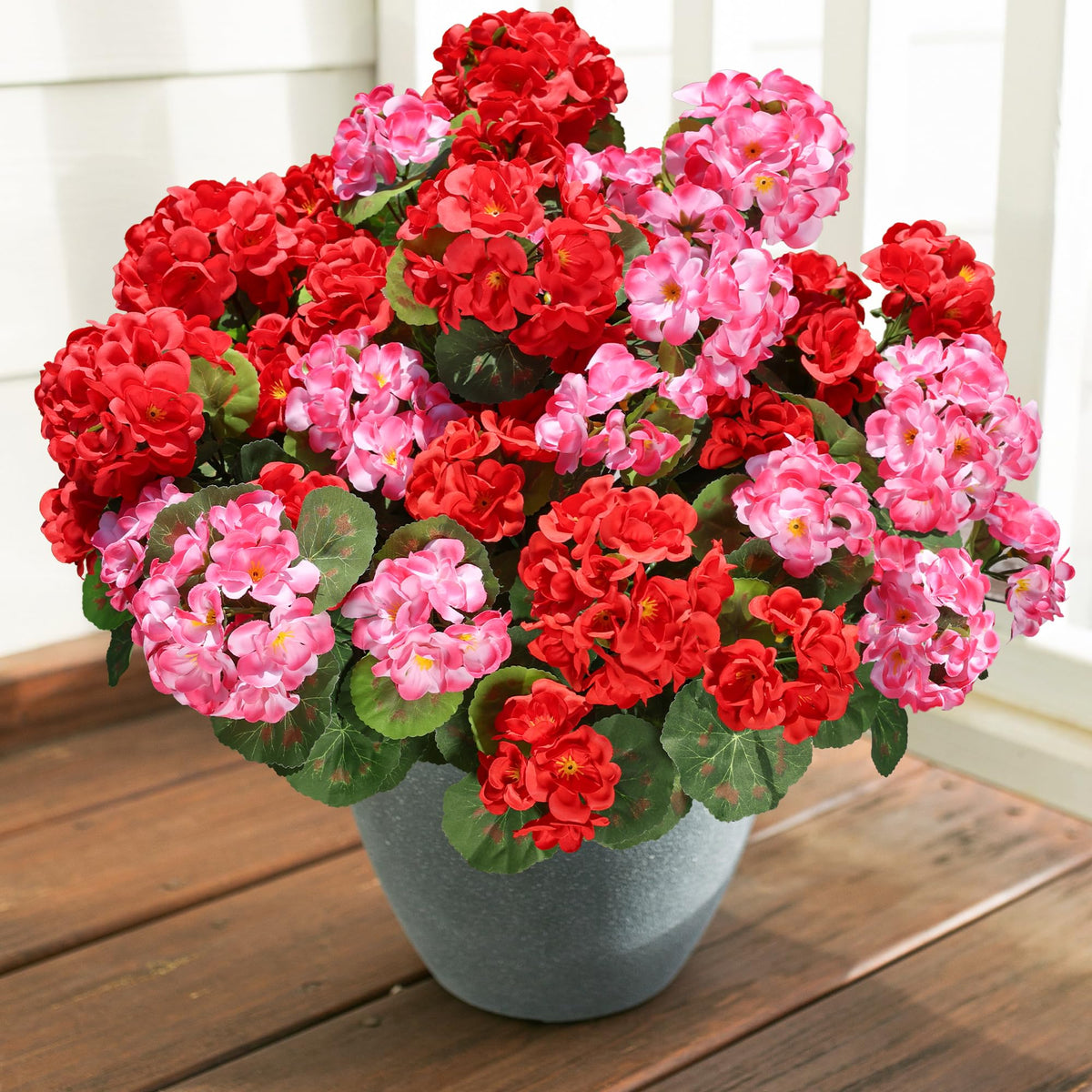 HyeFlora six-bundle geraniums packaging for décor
