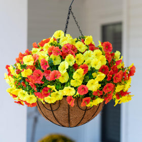 HyeFlora all-in-one hanging plant bundle ready to shape.