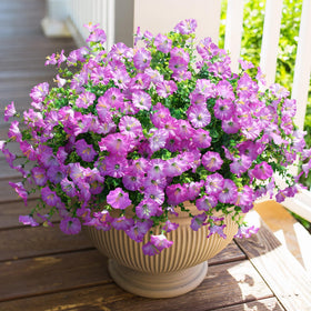 HyeFlora artificial purple morning glory with eucalyptus leaves for durable outdoor display
