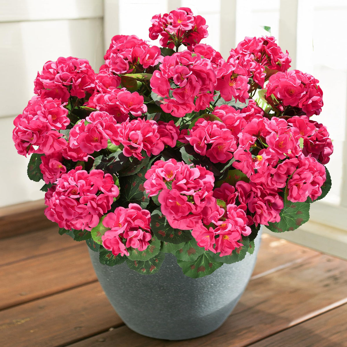 HyeFlora geranium basket display for porch or balcony