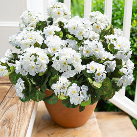 HyeFlora artificial geraniums for front door display with lasting color.