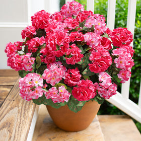 HyeFlora artificial geraniums in six outdoor bundles for lasting color.