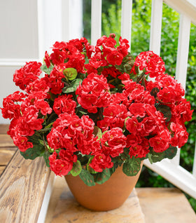 HyeFlora artificial geraniums outdoor 6-bundle packaging for porch decor