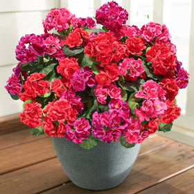 HyeFlora packaging includes six bundles for quick setup.
