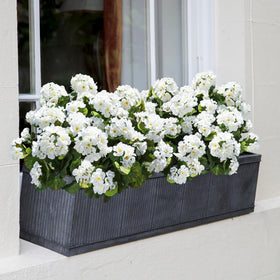 HyeFlora silk geraniums add patio charm year-round.