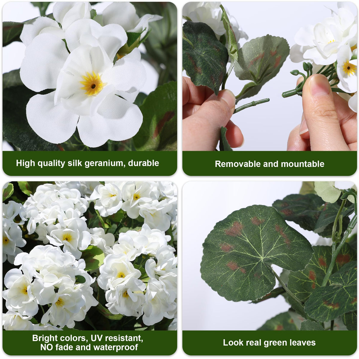 HyeFlora geraniums for yard border with durable outdoor appeal.