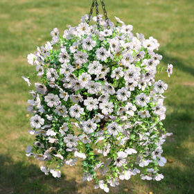 HyeFlora hanging basket with white daisies for outdoor decor, maintenance-free.