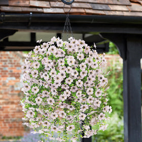 HyeFlora outdoor décor daisy basket, easy to care for and durable.