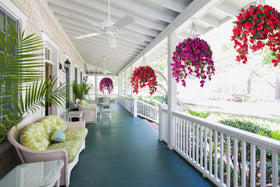 HyeFlora hibiscus hanging basket outdoor porch setup highlights UV-resistant beauty.