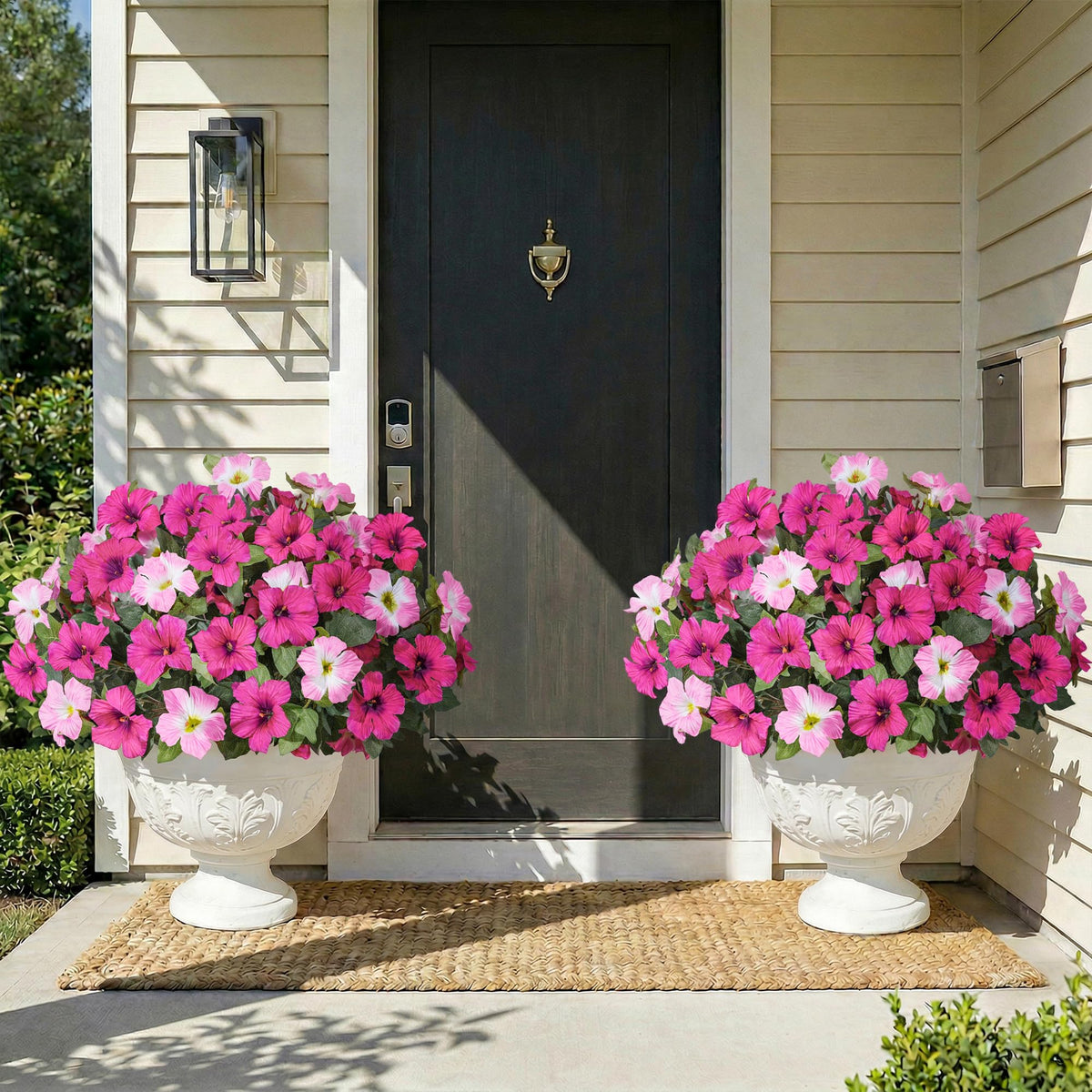 HyeFlora 4-pack petunias ready for year-round color in planters