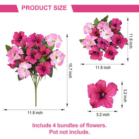 HyeFlora petunias porch display illustrating versatile exterior decor