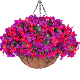 HyeFlora bougainvillea basket assembly showing quick outdoor setup