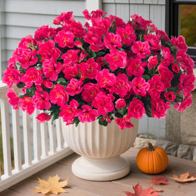 HyeFlora camellia arrangements elevate garden borders and window boxes.