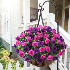 HyeFlora camellia low-maintenance solution for year-round decor.