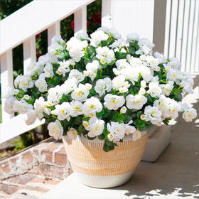 HyeFlora camellia outdoor front-door decor for curb appeal