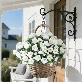 HyeFlora camellia planter display enhances garden spaces