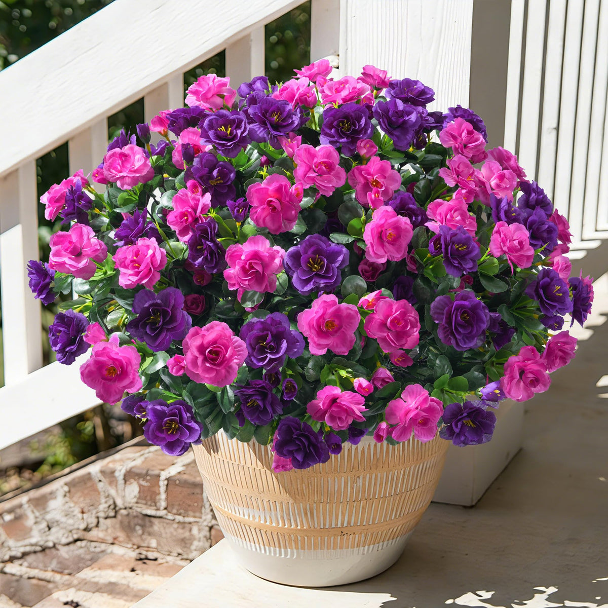 HyeFlora camellia outdoor 3-bundle display in purple and fuchsia boosts curb appeal.