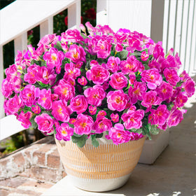 HyeFlora camellia planters with outdoor blooms brighten porches