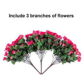 HyeFlora outdoor camellias add color to patios with easy upkeep.