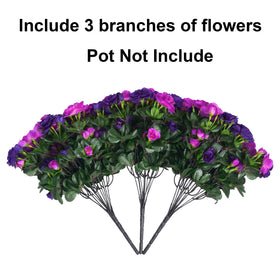 HyeFlora camellia planter front-door display enhances entryway with minimal maintenance.