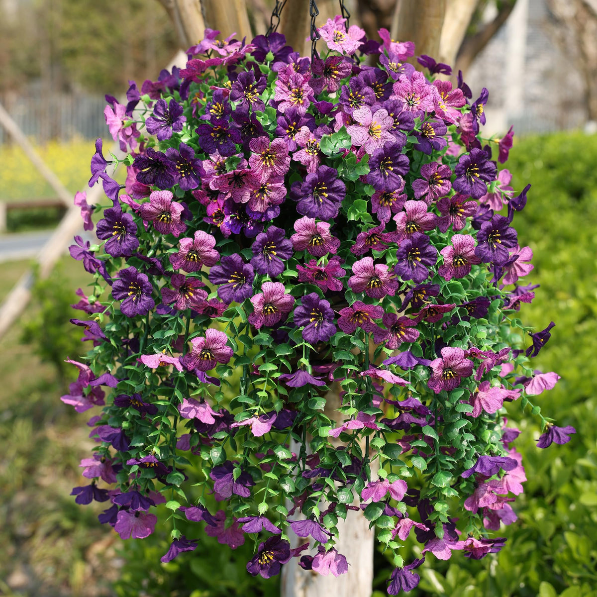 HyeFlora daisy flowers in a breathable hanging basket for outdoors.