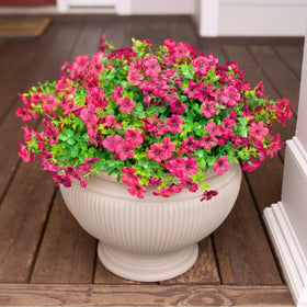 Hyeflora UV‑resistant daisies maintaining color outdoors