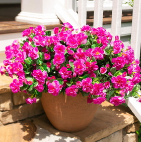 HyeFlora faux camellia close-up looks lifelike for realistic décor