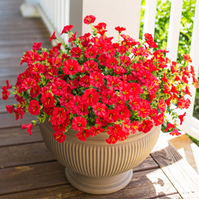HyeFlora front door porch decor with red morning glory artificial flowers