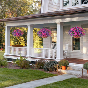 HyeFlora front porch decor with bright fuchsia and purple blooms