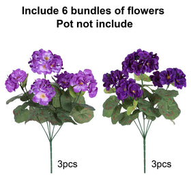 Geraniums displayed in a planter for low-maintenance outdoor color.