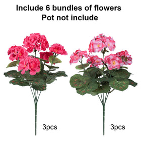 Front door display with HyeFlora geraniums enhances curb appeal.