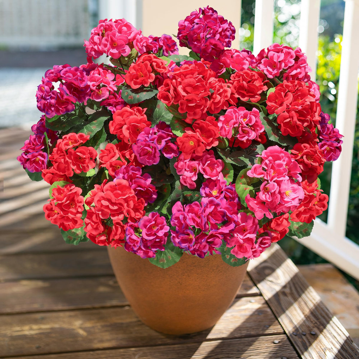 HyeFlora geranium planters and patios for vibrant outdoor decor.