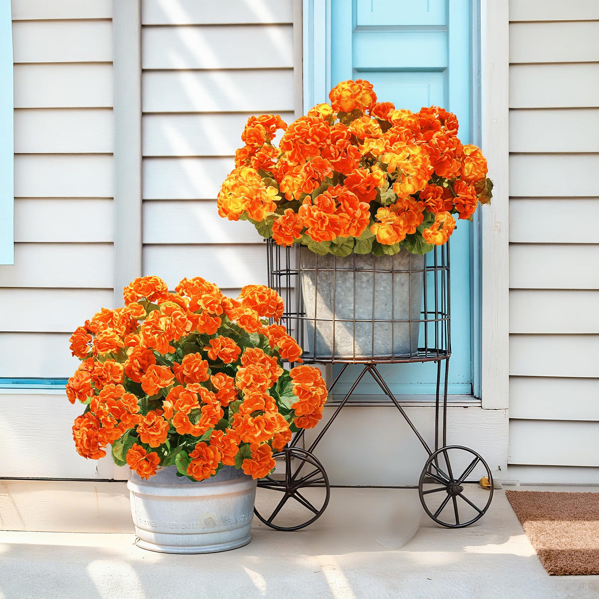 HyeFlora geraniums in planters for stylish patio decoration
