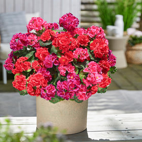 HyeFlora sturdy stems with metal cores for stability.