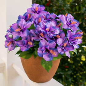 HyeFlora hibiscus centerpiece setup for indoor or outdoor use.